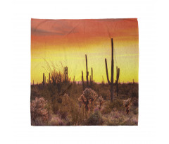 Cactus and Weeds Land Bandana