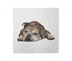 Single Hand Drawn Bulldog Bandana