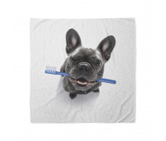 Funny Dog with Toothbrush Bandana