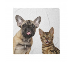 Cat and Dog Shocked Staring Bandana