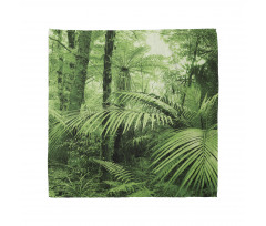 Palm Trees Exotic Plants Bandana