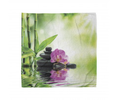 Orchids Rocks Water Bandana