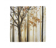 Bare Branches Fall Leaves Bandana