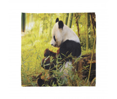 Panda Sitting in Forest Bandana