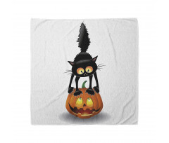 Cartoon Animal on Pumpkin Bandana