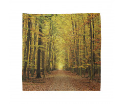 Pathway into the Forest Bandana