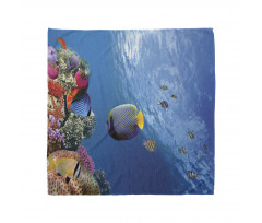 Underwater Fish Sea Bandana