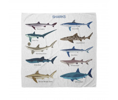 Cartoon Shark Types Wild Bandana