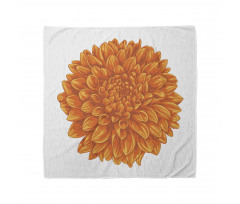 Dahlia Flower Floral Bandana