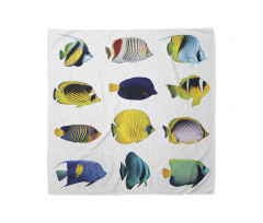 Collage of Sea Animals Bandana