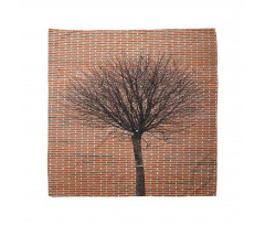 Brick Wall Lonely Fall Tree Bandana