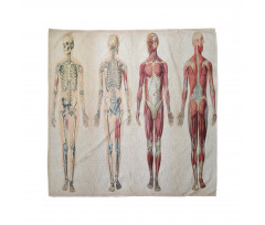 Hobiler Bandana İnsan Anatomisi Desenli