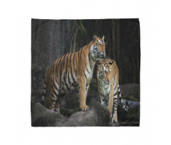 Tiger Couple in Jungle Bandana