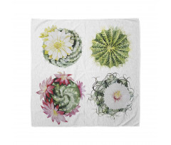 Mexican Retro Funky Cactus Bandana