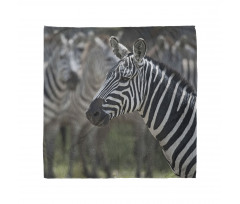 Hayvan Deseni Bandana Zebra Portresi Desenli