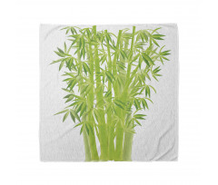 Bamboo Stems with Leaves Bandana