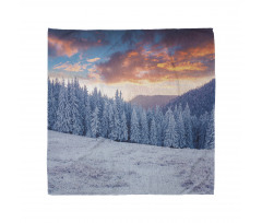 Winter Snowy Forest Sky Bandana