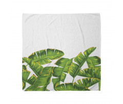 Vibrant Tropical Foliage Bandana