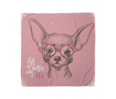 Chihuahua Bandana Pembe Gözlüklü Köpek