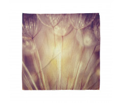 Dandelion Petals Spring Bandana