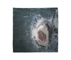 Scary Open Mouth Teeth Bandana