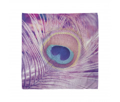 Close up Peacock Plume Bandana