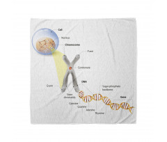 Öğretici Bandana Hücre ve DNA