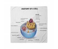 Öğretici Bandana Hücrenin Anatomisi