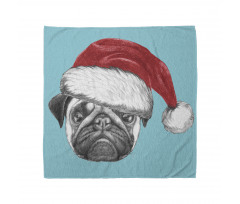 Hayvan Bandana Noel Baba Şapkalı Tatlı Pug Köpek Mavi Fonlu