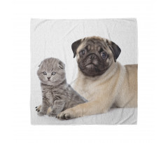 Hayvan Bandana Pug Köpek ve Scottish Fold Yavru Kedi Beyaz