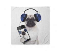 Pug Köpek Bandana Kulaklıkla Müzik Dinleyen Komik Hayvan 