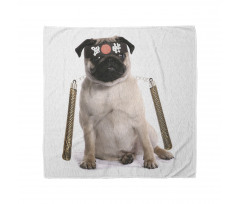 Pug Köpek Bandana Ninja Karate Kostümlü Hayvan Görseli