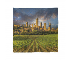 San Gimignano Vineyards Bandana