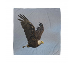 Hunter Bird in Open Sky Bandana