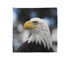 Freedom United States Bandana