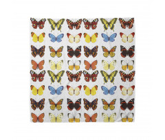 Butterflies Many Shapes Bandana