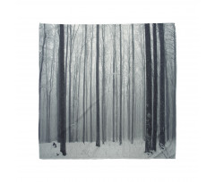 Foggy Mysterious Woods Bandana