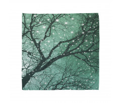 Stars Bare Branches Bandana