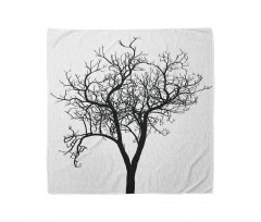 Barren Branch Fall Bandana