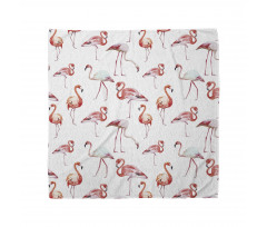 Kuşlar Bandana Flamingo Desenli