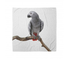 Parrot on a Branch Bandana