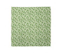 Ecology Botany Bandana