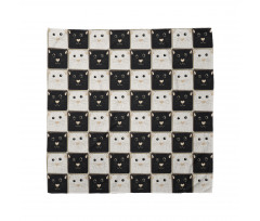 Squares with Cats Bandana