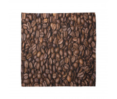 Roasted Coffee Grains Bandana