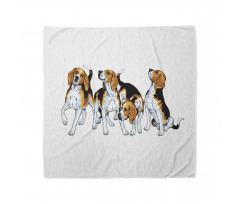 4 Beagle Hounds Play Bandana