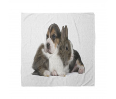 Rabbit Puppy Pet Friends Bandana