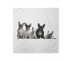 Young Doggies Photo Bandana