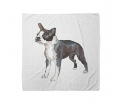 Köpek Bandana Boston Terrier Türü Havlayan Hayvan Figür