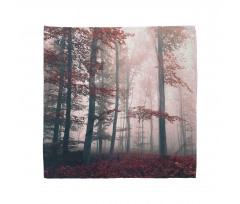 Autumn Fall Nature Woods Bandana