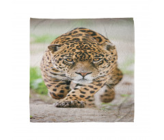 Jungle Fauna Predator Cat Bandana